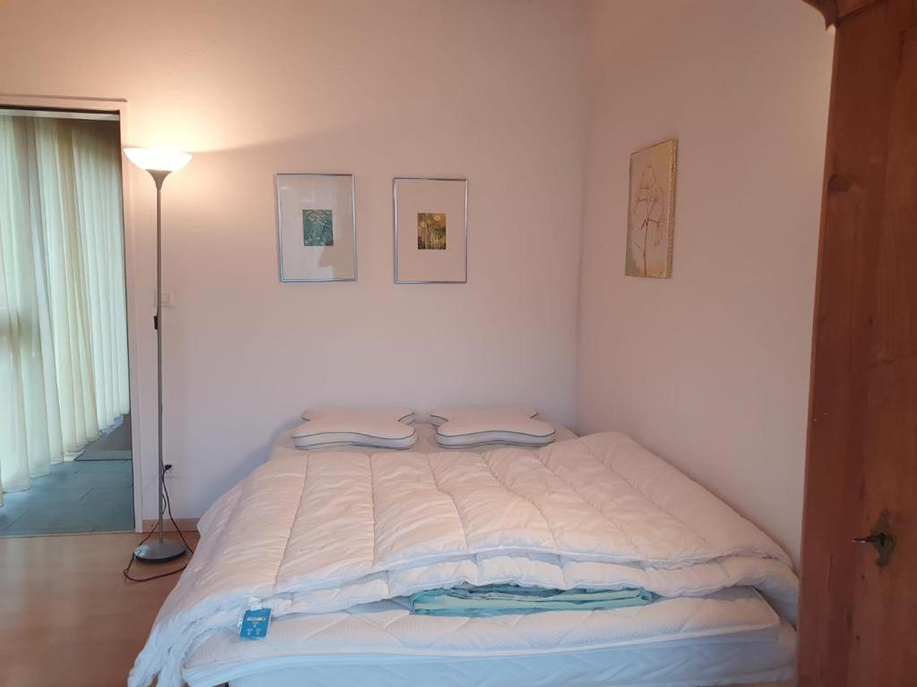 Casa Nadja, Naehe Skigebiet Flims-lax Holiday home